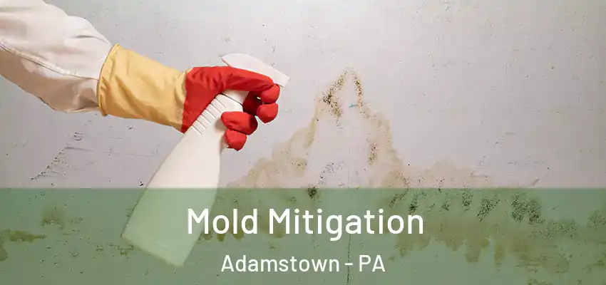 Mold Mitigation Adamstown - PA