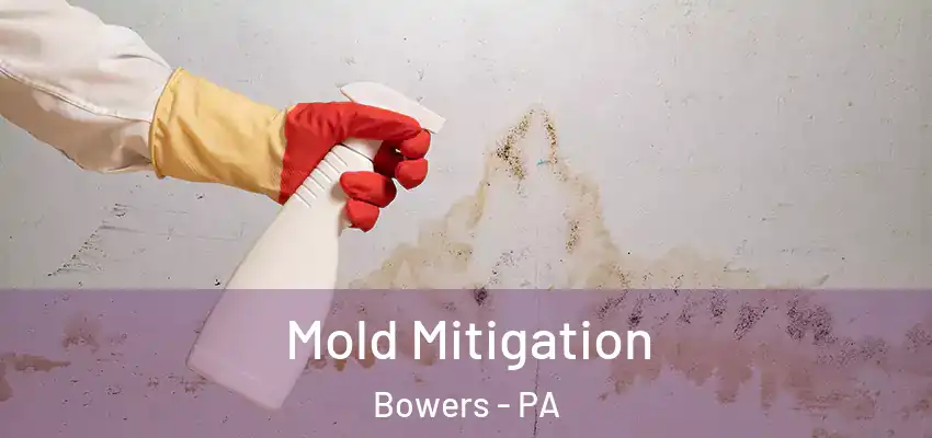 Mold Mitigation Bowers - PA