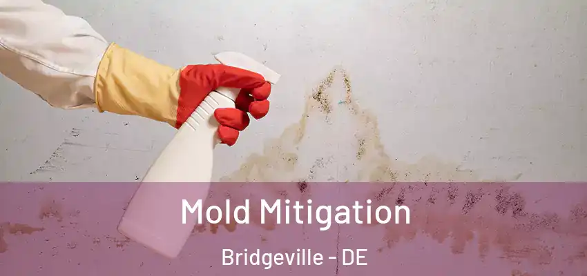  Mold Mitigation Bridgeville - DE