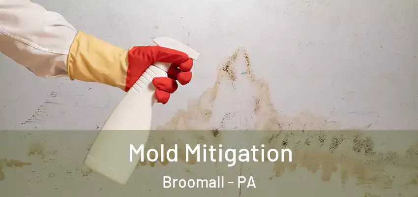Mold Mitigation Broomall - PA