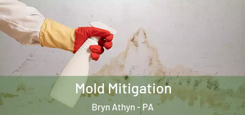 Mold Mitigation Bryn Athyn - PA
