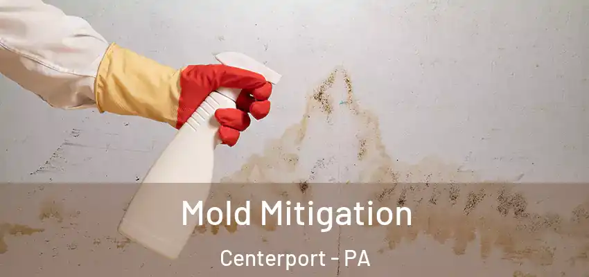 Mold Mitigation Centerport - PA