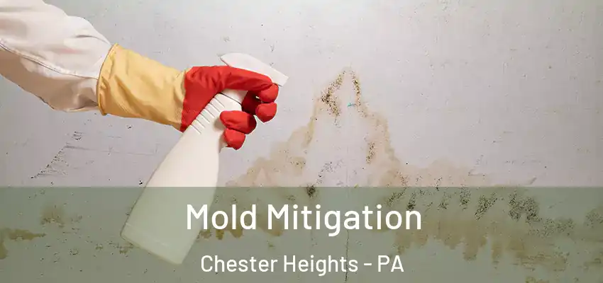 Mold Mitigation Chester Heights - PA