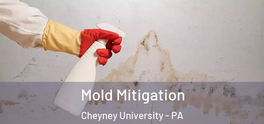  Mold Mitigation Cheyney University - PA