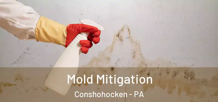 Mold Mitigation Conshohocken - PA