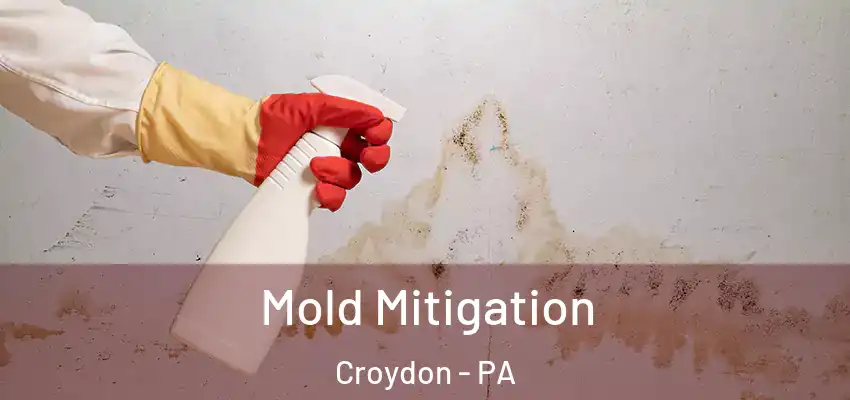 Mold Mitigation Croydon - PA