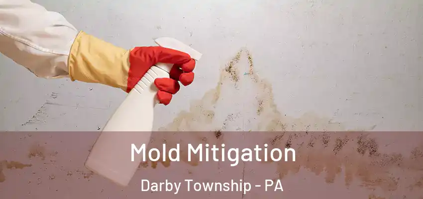 Mold Mitigation Darby Township - PA