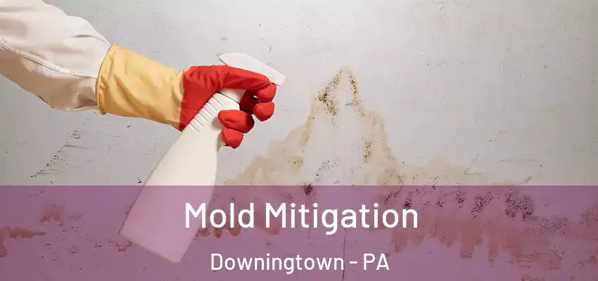 Mold Mitigation Downingtown - PA