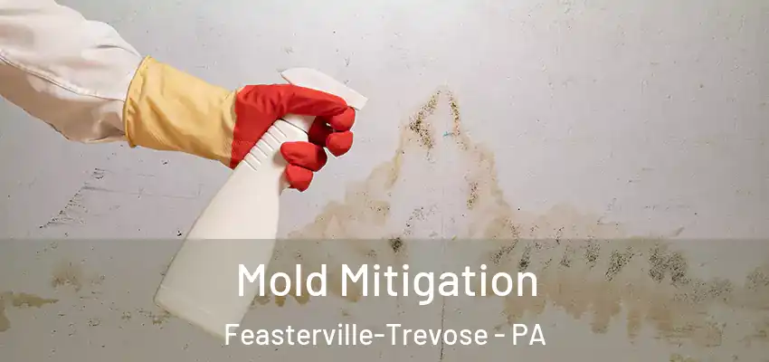 Mold Mitigation Feasterville-Trevose - PA