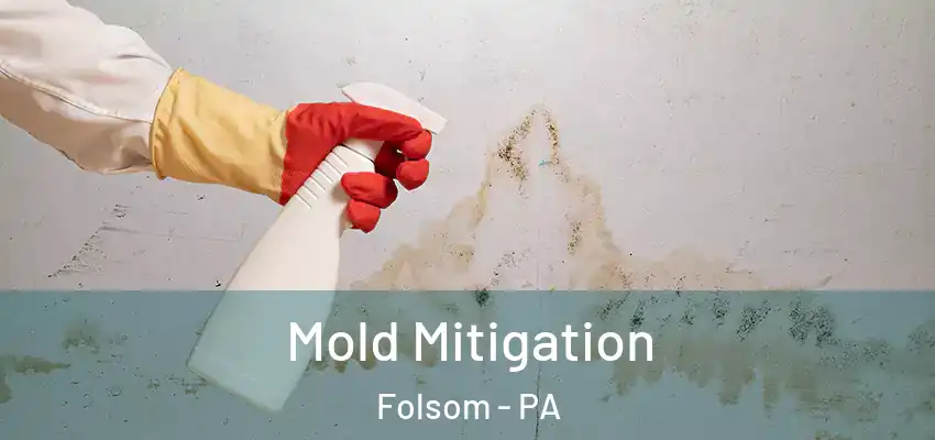 Mold Mitigation Folsom - PA