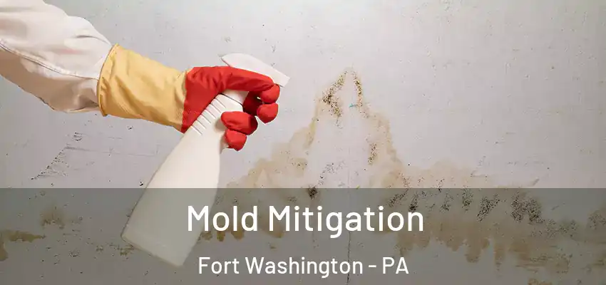 Mold Mitigation Fort Washington - PA