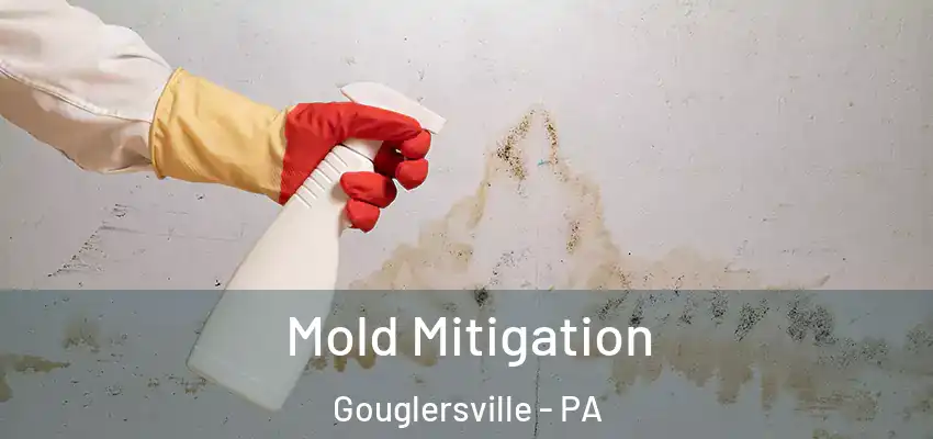  Mold Mitigation Gouglersville - PA