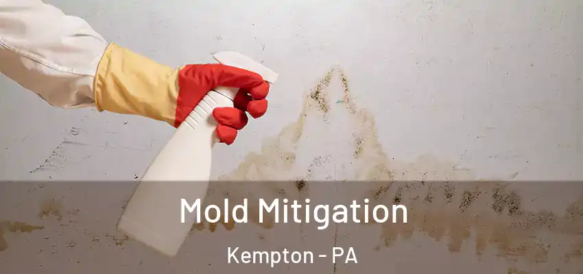  Mold Mitigation Kempton - PA
