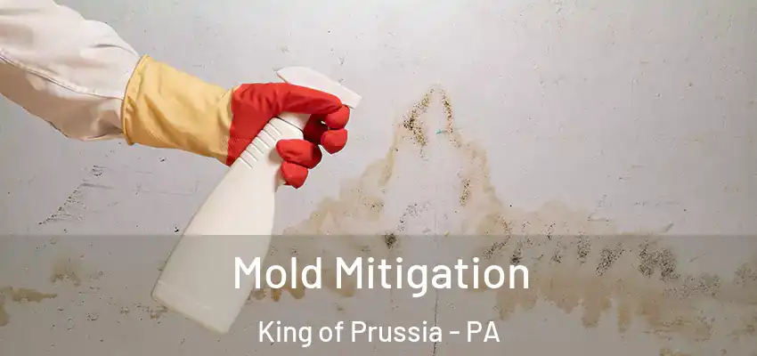 Mold Mitigation King of Prussia - PA