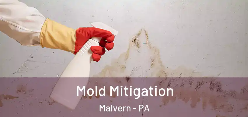 Mold Mitigation Malvern - PA