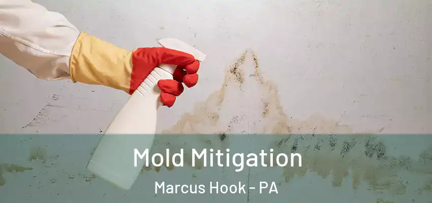 Mold Mitigation Marcus Hook - PA