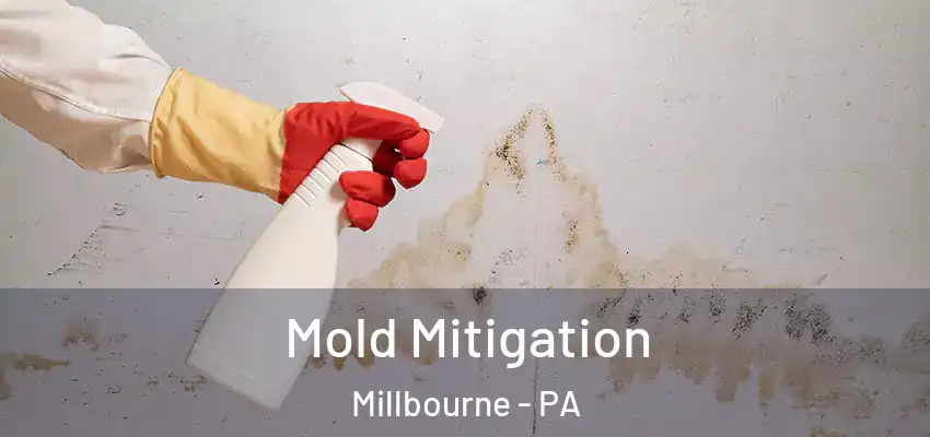 Mold Mitigation Millbourne - PA