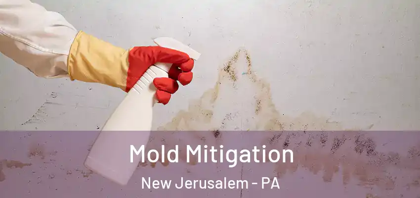 Mold Mitigation New Jerusalem - PA