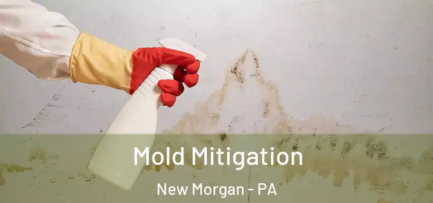  Mold Mitigation New Morgan - PA