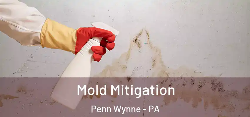 Mold Mitigation Penn Wynne - PA