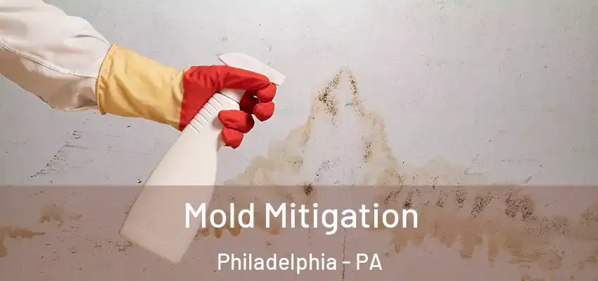 Mold Mitigation Philadelphia - PA