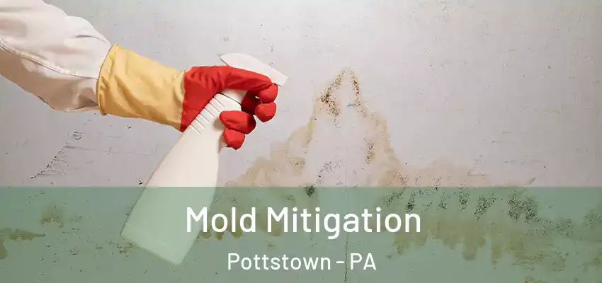  Mold Mitigation Pottstown - PA