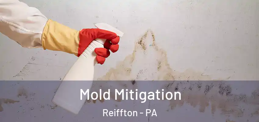  Mold Mitigation Reiffton - PA