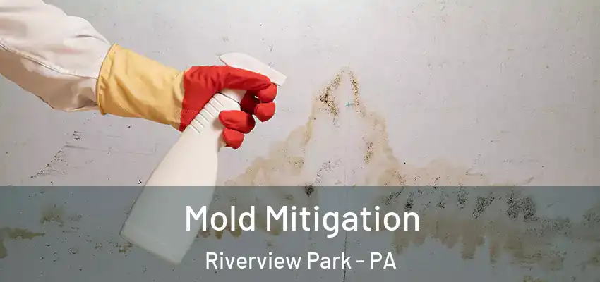 Mold Mitigation Riverview Park - PA