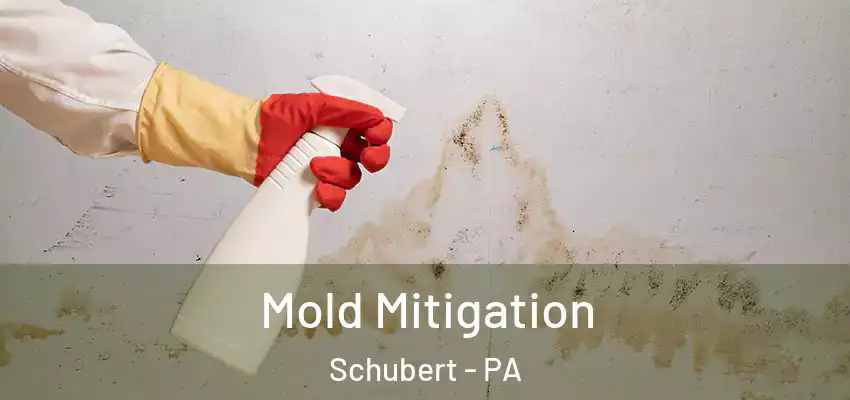 Mold Mitigation Schubert - PA