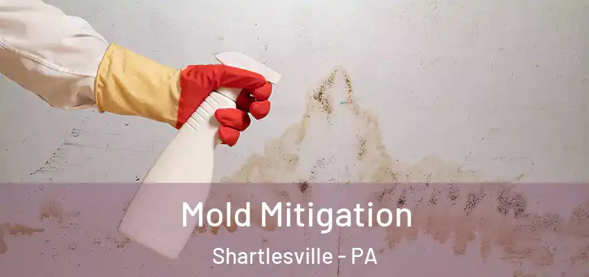 Mold Mitigation Shartlesville - PA