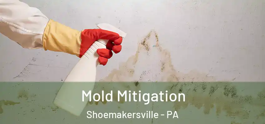 Mold Mitigation Shoemakersville - PA