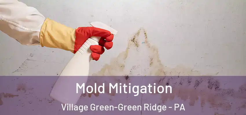 Mold Mitigation Village Green-Green Ridge - PA