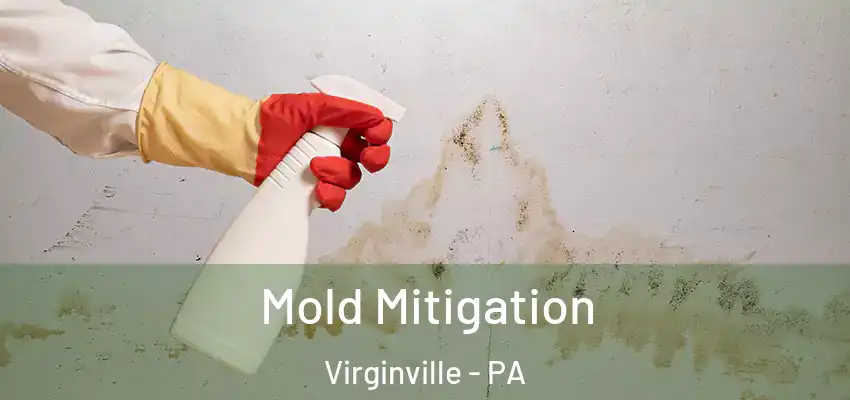  Mold Mitigation Virginville - PA