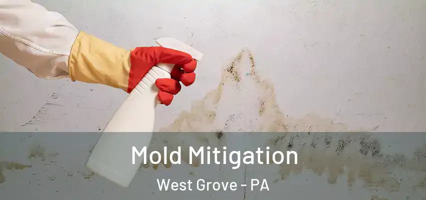  Mold Mitigation West Grove - PA