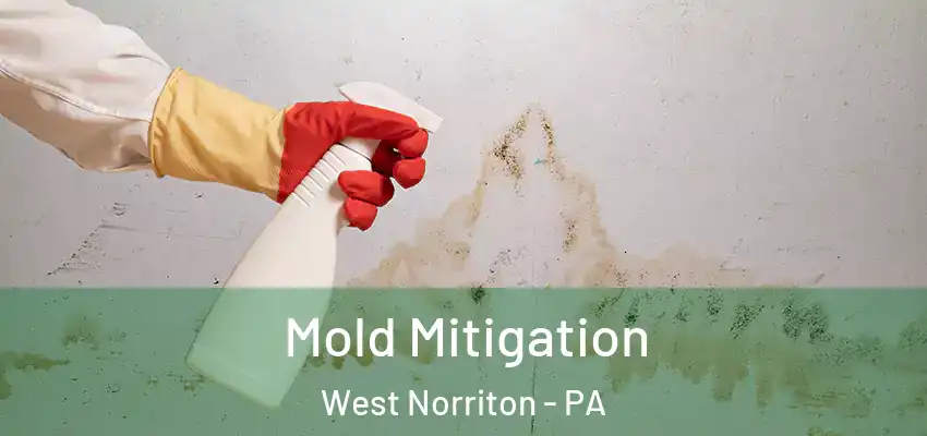  Mold Mitigation West Norriton - PA