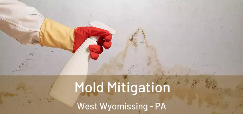 Mold Mitigation West Wyomissing - PA