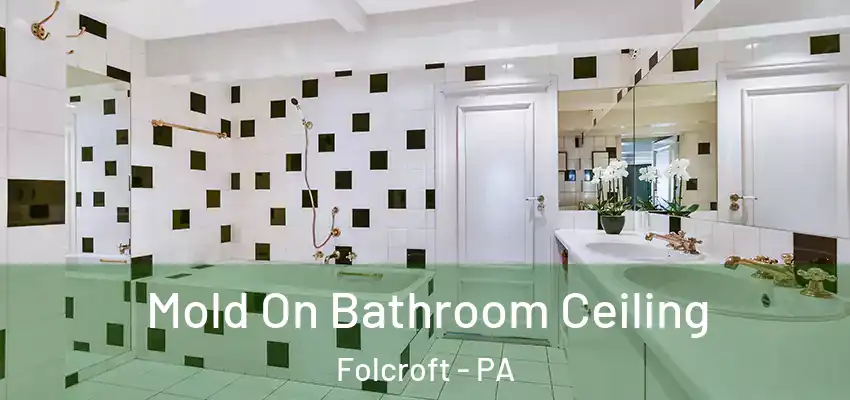  Mold On Bathroom Ceiling Folcroft - PA