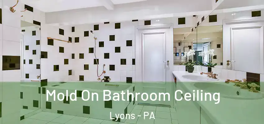  Mold On Bathroom Ceiling Lyons - PA