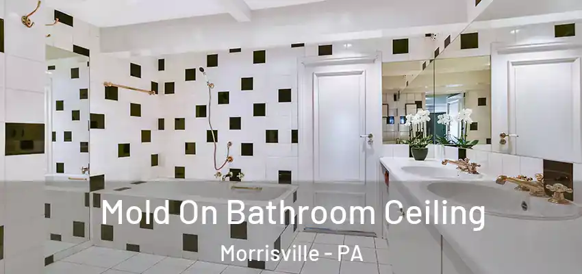 Mold On Bathroom Ceiling Morrisville - PA