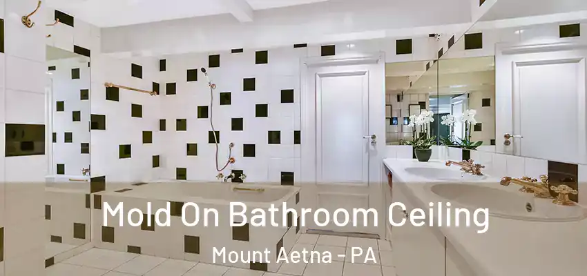 Mold On Bathroom Ceiling Mount Aetna - PA