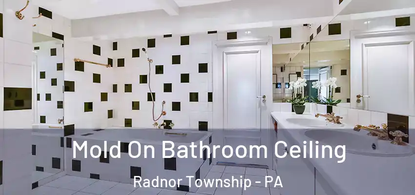  Mold On Bathroom Ceiling Radnor Township - PA