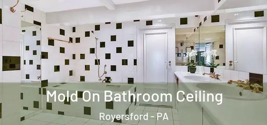  Mold On Bathroom Ceiling Royersford - PA