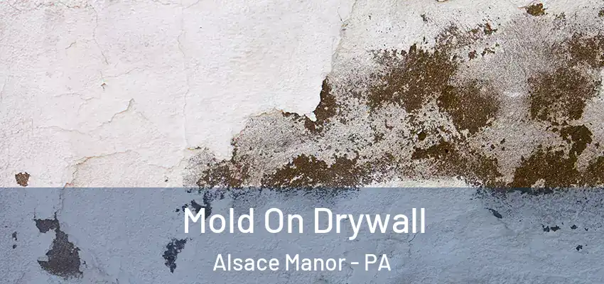  Mold On Drywall Alsace Manor - PA