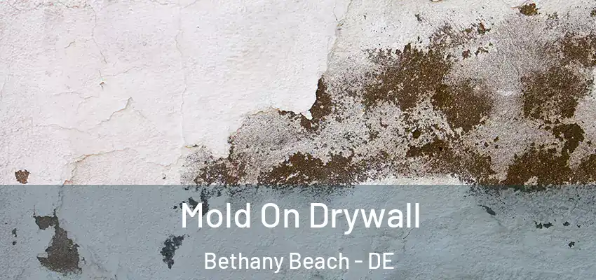 Mold On Drywall Bethany Beach - DE