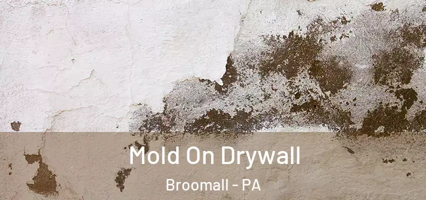  Mold On Drywall Broomall - PA