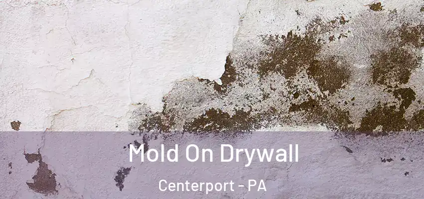  Mold On Drywall Centerport - PA
