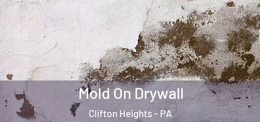 Mold On Drywall Clifton Heights - PA