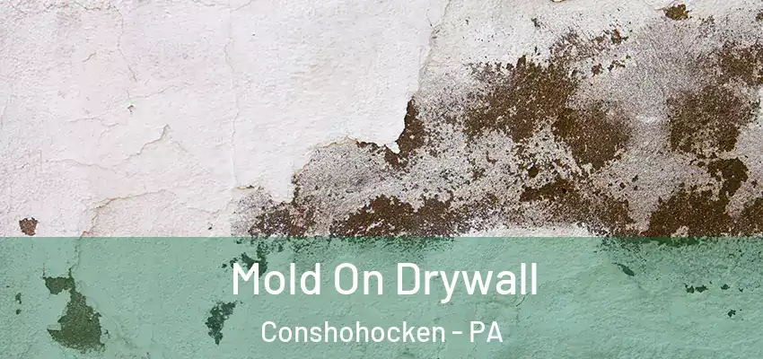  Mold On Drywall Conshohocken - PA