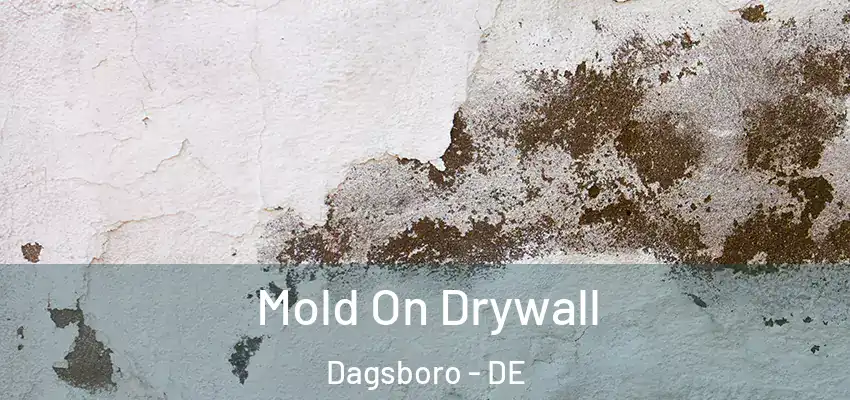 Mold On Drywall Dagsboro - DE