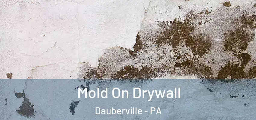 Mold On Drywall Dauberville - PA